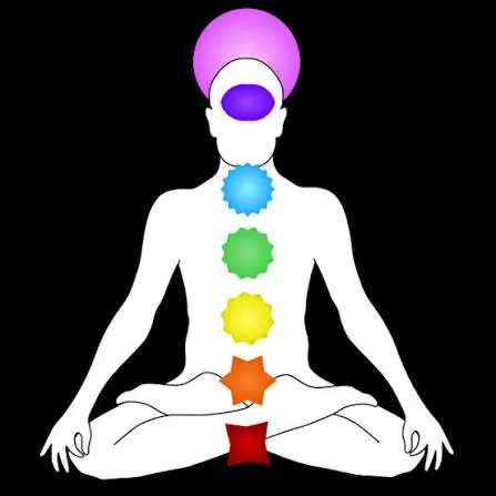 Nervo Vago e Espiritualidade: A Ponte Física Entre o Corpo e a Alma